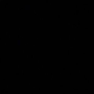 Meet your Posher, Bruce